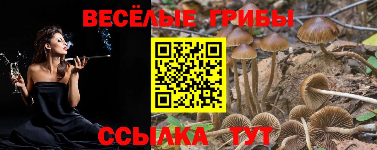 сколько стоит  Вход с VPN  Гусиноозёрск  Псилоцибиновые грибы GOLDEN TEACHER  Галлюциногенные грибы прущие грибы 